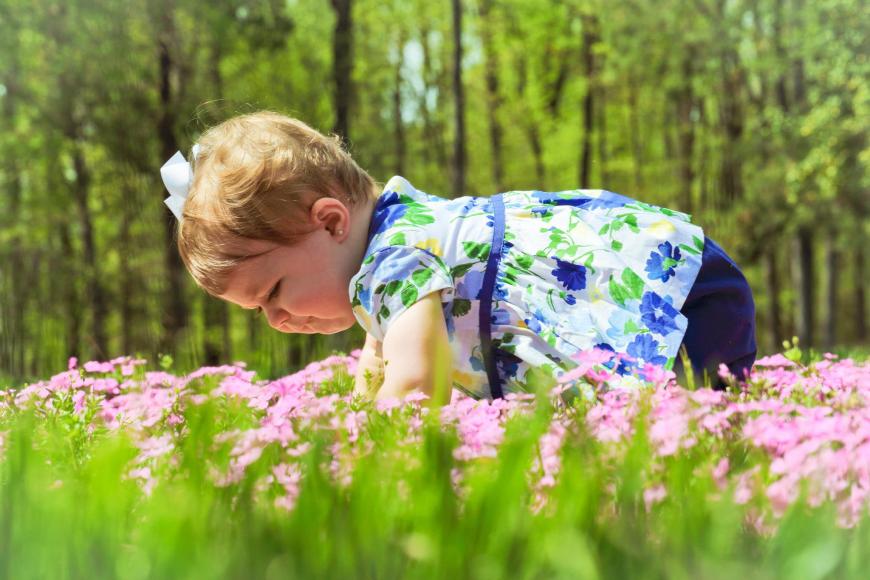 902675_527452000645768_694102985_o