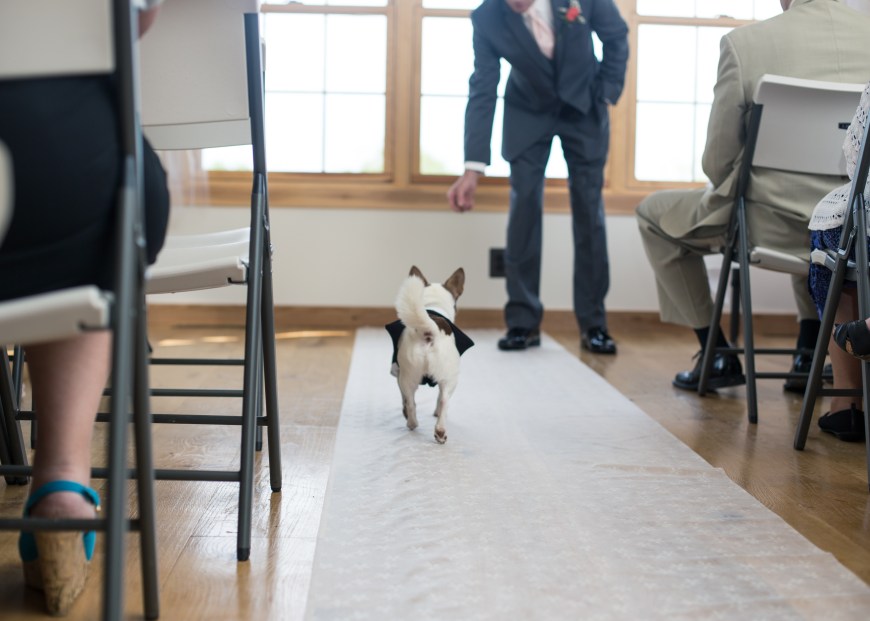 Mikey did a great job with the rings!