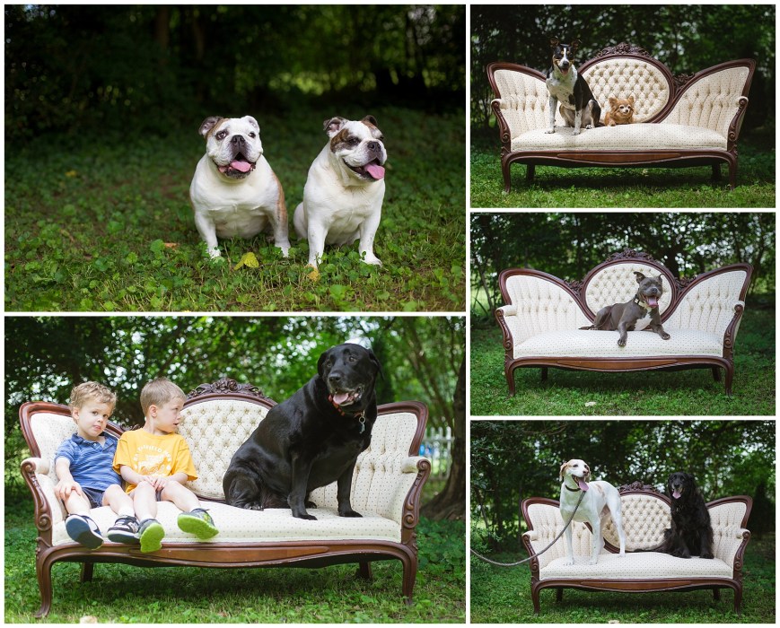 View More: http://shotwithabow.pass.us/diesel-alice